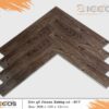 san-go-xuong-ca-ziccos-017-15